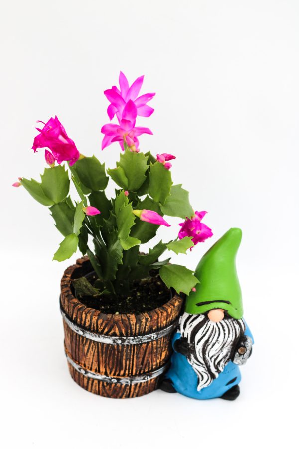 Vaso Anão Balde Madeira (11,5cm) - Image 3